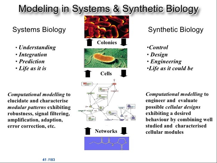 Systems and Synthetic Biology